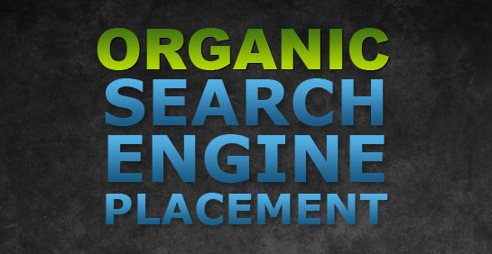 Organic Search Engine Placement